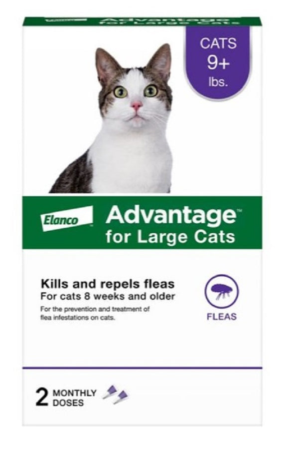 Advantage 90211108 Liquid Fleas Topical Treatment for Large Cats 9 lb.