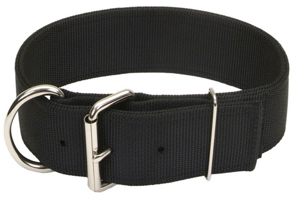 Retriever Double-Ply Dog Collar with Roller Buckle 1-3/4 x 22in.