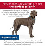Retriever Double-Ply Dog Collar with Roller Buckle 1-3/4 x 22in.