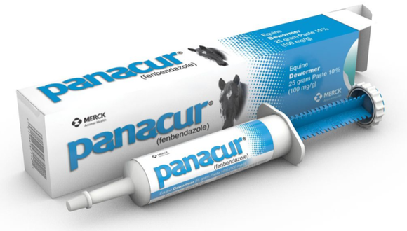 Merck Animal Health 69273 25 g Panacur Equine Dewormer Paste
