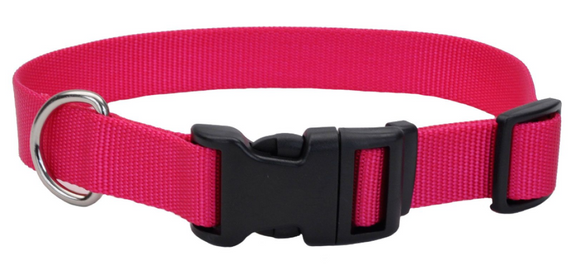 Retriever Adjustable Dog Collar with Plastic Buckle,  5/8 x 10-14in, Pink Flamingo