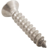 Waterco  00B1029 Screw, Baker Hydro Purex Skimmer, Face Frame