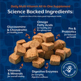 NaturVet All-In-One Veterinarian formulated Complete Health Solution for Dogs, 60 Chews
