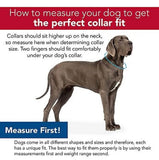 Retriever 03118 Q CHL22 Rustic Leather Town Dog Collar, Chocolate, 26 in.
