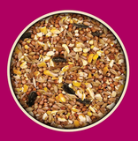 DuMOR 15355 5-Grain Scratch Poultry Adult Chicken Feed Supplement, 40 Pound