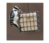 Royal Wing 35521 Animal Supplies 1 Cake Capacity Deluxe Suet Bird Feeder - view 6