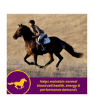 Horse Health 74110 Red Cell Iron-Rich Supplement for Horses, 1 gal.