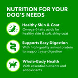 Iams 10151268 Proactive Health Adult Chicken and Rice Pate Wet Dog Food 6 Cans
