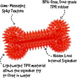 Retriever Gnawsome 10063 6.5 in. Spikey Squeaker Bone Medium Dog Toy - ASSORTED