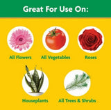 Miracle-Gro 1011410 Water Soluble All-Purpose Plant Food 5.5lb