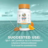 Organic Children's Vitamin C Gummies - 90 MG per Serving - Orange (60 Gummies)