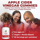 Apple Cider Vinegar Gummies (60 Gummies)