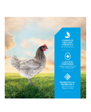 DuMOR 4BM0651C Livestock Supplies Organic 16% Egg Layer Crumbled Chicken Feed, 40 lb. Bag