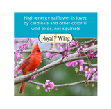 Royal Wing 140 All Seasons High Protein Safflower Wild Bird Food, 20 lb. Bag - view 6