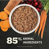 Acana F1B230031W00363 - Premium Chicken Puppy Food, Bone Broth, 1 Can