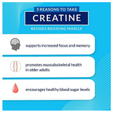 Creatine + Glutamine w/ Beta-Alanine Powder - Fruit Punch (12.6 oz./31 Servings)