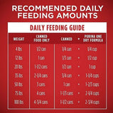 Purina ONE Adult Chicken/Beef Classic Ground Wet Dog Food Variety 13 oz/6 Cans