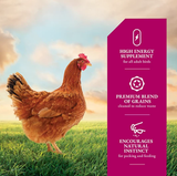 DuMOR 15355 5-Grain Scratch Poultry Adult Chicken Feed Supplement, 40 Pound