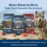 Blue Buffalo Wilderness Dry Dog Food plus Wholesome Grains, Chicken 4.5 lb. bag