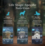Blue Buffalo Wilderness Dry Dog Food plus Wholesome Grains, Chicken 4.5 lb. bag