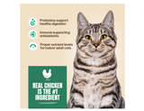 4health 1916 Wholesome Grains Adult Indoor Chicken Formula Dry Cat Food, 5 lbs
