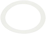 Pentair 195004 Polyethylene Washer