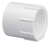 Lasco 435-005 0.5" Female Adapter
