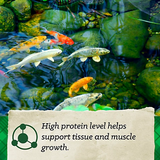 Nutrena Nature's Canvas 38837 -  Koi Fish Feed, 20 lb.