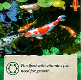 Nutrena Nature's Canvas 38837 -  Koi Fish Feed, 20 lb.