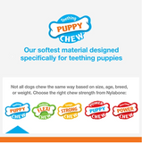 Nylabone NPFB202P - Nyla Teething Puppy Chew, Allergen-Free Peanut Butter Flavor