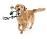 Mammoth 20226F Flosy Chews Premium, Double Rope Tug Dog Toy, All Life Stages