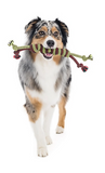 Mammoth 25222F - Double Rope EXTRA Monkey Fist Bar Dog Toy
