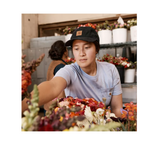 Carhartt 100289-211 Men's Solid Odessa Cotton Canvas Baseball Cap, Black, OS