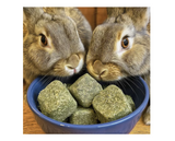 DuMOR 42931 Small Animal All-Natural Timothy Hay Cubes for Adult-aged Small Pet, 16 oz.