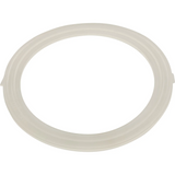Waterway 711-1740 Replacement Gasket For Poly Jet Wall Fitting (Old Style)