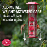 Royal Wing 336BTSC Red Barn Squirrel-Proof Bird Tube Feeder, 2 lb. Capacity
