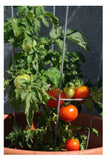 Glamos Wire 704047 Heavy Duty Tomato Cage Galvanized 47 in.