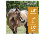 Nutrena 94513 SafeChoice Mare and Foal 16% Pelleted Horse Feed, 50 lb. Bag