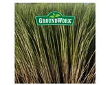 GroundWork 266AX0002UC-5 Pensacola Bahiagrass Grass Seed Mixture, 5 lb.