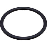 Waterway 711-6090 Internal Gasket Polyjet