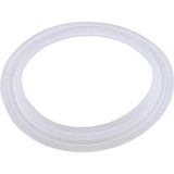 Pentair 959000 Wall Fitting Gasket Pent Cyclone Micro BWG