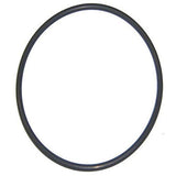 Hayward CX400G Filter Tank and Pump Lid O-Ring