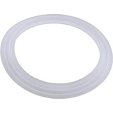 Pentair 985700 Wall Fitting " L" Gasket Cyclone Luxury Jet