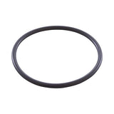 Jandy Zodiac W151211 Electrode O-Ring