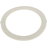 Waterway 711-1740 Poly Jet W/F Gasket Old Style