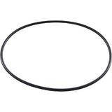 Jandy Zodiac W150181 Cell O-Ring for Zodiac LM3 - view 2