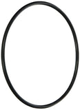 Jandy Zodiac R0374500 Energy Filter O-Ring Replacement Kit