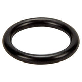 Pentair 191479 O-Ring for Pool or Spa Valve and Filter