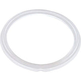 Waterway 711-6910 Flat Mini Storm Jet Gasket