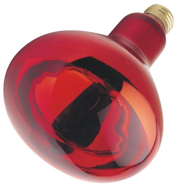 Westinghouse 37771 - 250W R40 Heat Lamp Incandescent Light Bulb, Red 37771